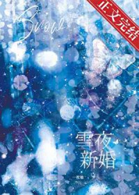 雪夜新婚 雪夜新婚