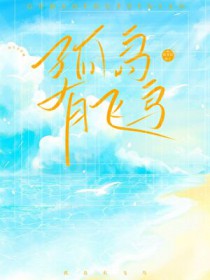 孤岛有飞鸟 孤岛有飞鸟