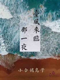 台风来临那一夜 台风来临那一夜