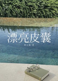 漂亮皮囊 漂亮皮囊