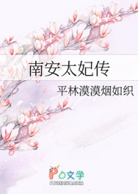 南安太妃传 南安太妃传