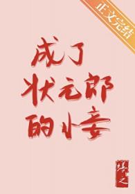 成了状元郎的小妾 成了状元郎的小妾