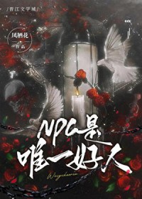 NPC是唯一好人 NPC是唯一好人