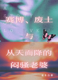 赛博、废土与天降爱人 赛博、废土与天降爱人