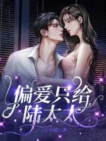 偏爱只给陆太太 偏爱只给陆太太