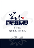 公子他霁月光风 公子他霁月光风