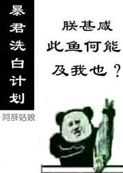 贵妾职业病