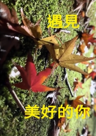 遇见美好的你 遇见美好的你