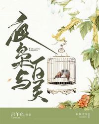 夜枭与百灵 夜枭与百灵