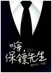 嗨,保镖先生 嗨,保镖先生