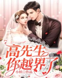 高先生你越界了 高先生你越界了