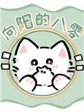 向阳的八零 向阳的八零