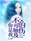你是我不可触及的伤 你是我不可触及的伤