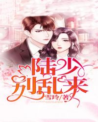 陆少,别乱来 陆少,别乱来