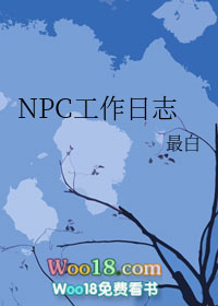 NPC工作日志 NPC工作日志