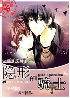 隐形的骑士 隐形的骑士