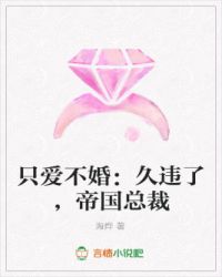 只爱不婚:久违了,帝国总裁 只爱不婚:久违了,帝国总裁