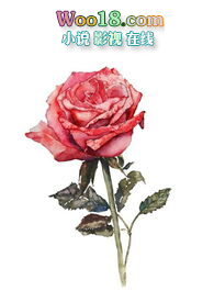 【ABO】无处可逃 【ABO】无处可逃