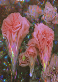 强制与反骨 强制与反骨