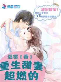 �������޳�ȼ��