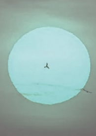 麟火追暘 麟火追暘