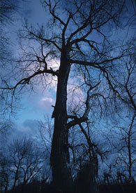 当翘家伊泽带走意欲返国的雷玟 当翘家伊泽带走意欲返国的雷玟