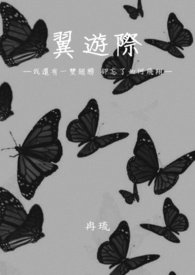 翼游际(完) 翼游际(完)