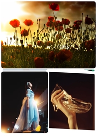 在灰烬中拥抱你 在灰烬中拥抱你