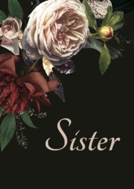 【是非】正义 【是非】正义