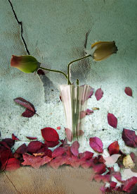 只收大徒弟 只收大徒弟