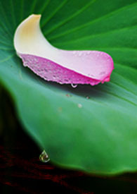 为你改写人生剧本 为你改写人生剧本