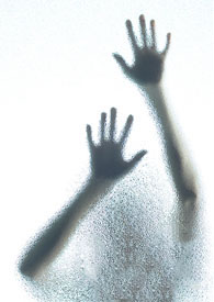 临风顾盼 临风顾盼