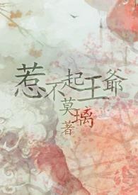惹不起王爷 惹不起王爷