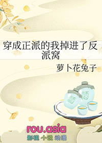 穿成正派的我掉进了反派窝 穿成正派的我掉进了反派窝