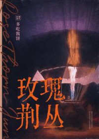 玫瑰荆丛 玫瑰荆丛