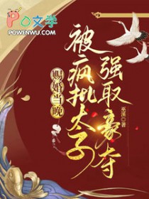 赐婚当晚,被疯批太子强取豪夺 赐婚当晚,被疯批太子强取豪夺