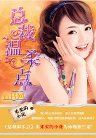 总裁温柔点 总裁温柔点