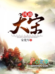 风雨大宋 风雨大宋