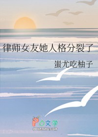 律师女友她人格分裂了 律师女友她人格分裂了