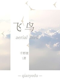 飞鸟 飞鸟