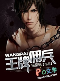 王牌佣兵 王牌佣兵