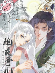 入赘炮灰哥儿后 入赘炮灰哥儿后