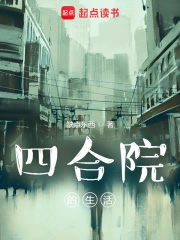 四合院的生活 四合院的生活