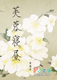 芙蓉寝昼 芙蓉寝昼