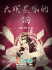 大明星家的猫 大明星家的猫