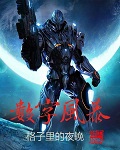 数字风暴 数字风暴