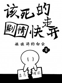 我的魔法是迷因梗图