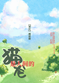 猫是人间的龙 猫是人间的龙