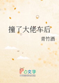 撞了大佬车后 撞了大佬车后